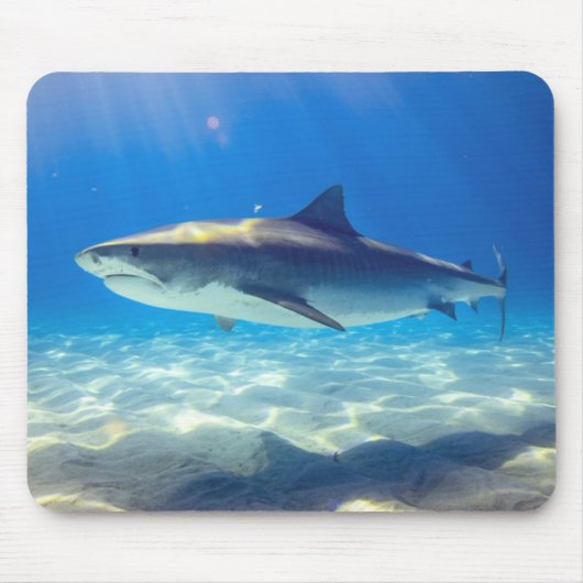 Hai schwimmen Blaues Meer Mousepad (Vorne)