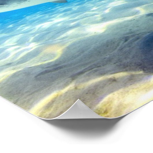 Hai schwimmen Blaues Meer Poster (Ecke)