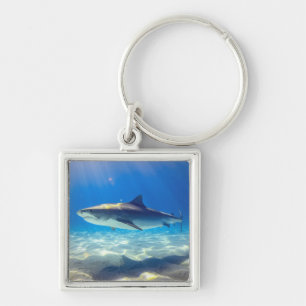 Hai schwimmen Blaues Meer Schlüsselanhänger