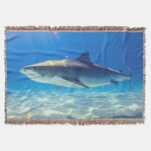 Hai Schwimmt Blaues Ozeanwasser Decke