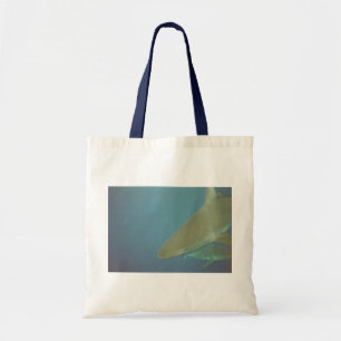 Hai-Tasche Tragetasche
