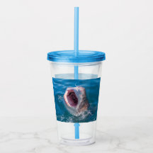 Hai Tumbler