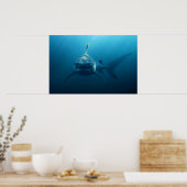 Hai unter Wasser Poster (Küche)