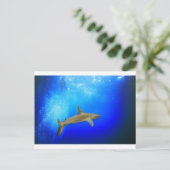 Hai unter Wasser tiefblauer Ozean Postkarte (Stehend Vorderseite)