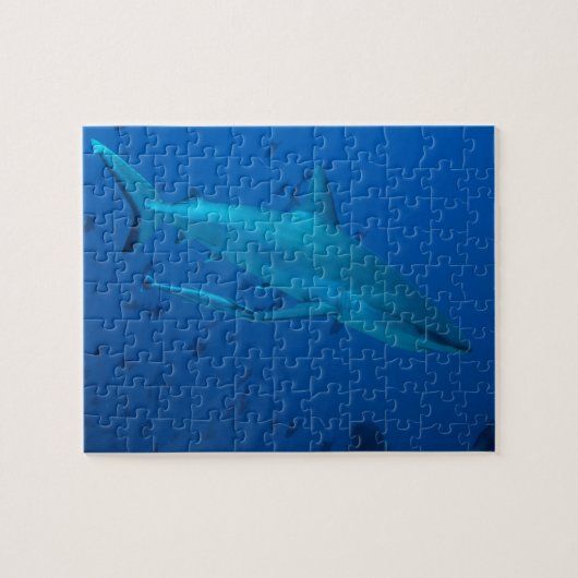 Hai Unterwasserfotografie Jigsaw Puzzle (Horizontal)