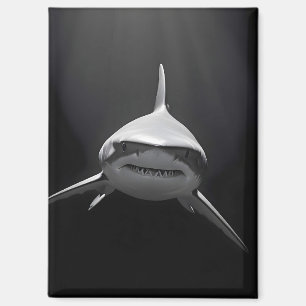 Hai Wildlife Majestic Nature Life Ocean Poster Magnet
