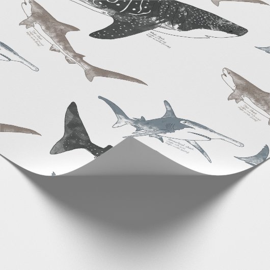 Hai-Wrapping-Papier Geschenkpapier (Ecke)