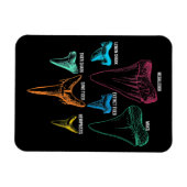 Hai-Zahnradjagd - Crazy Shark Gifts Magnet (Horizontal)