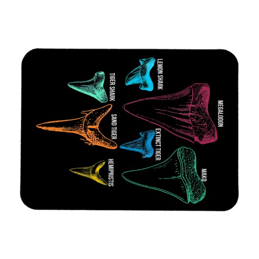 Hai-Zahnradjagd - Crazy Shark Gifts Magnet (Horizontal)