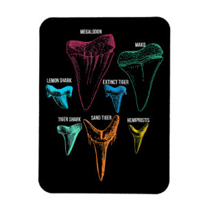 Hai-Zahnradjagd - Crazy Shark Gifts Magnet
