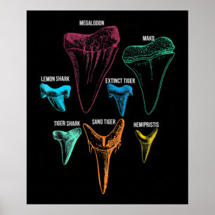 Hai-Zahnradjagd - Crazy Shark Gifts Poster