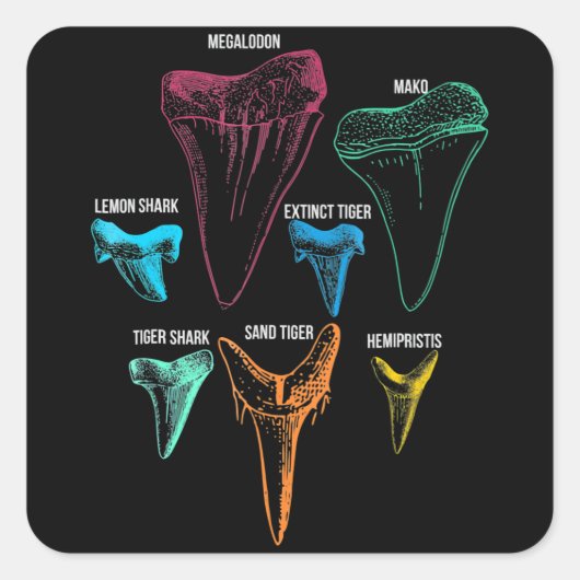 Hai-Zahnradjagd - Crazy Shark Gifts Quadratischer Aufkleber (Vorderseite)