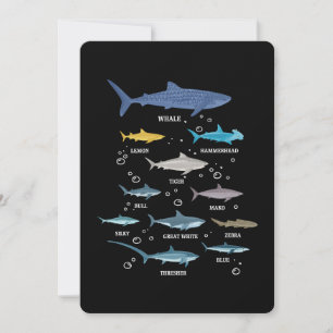 Haiarten Haifischfische Gesichter Meeresbiologie Einladung