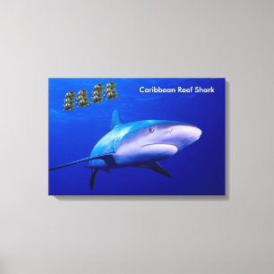 Haibild für verpackte Leinwand