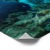 Haie auf der Schüssel Poster (Ecke)