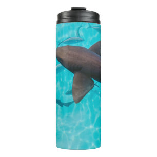 HAIE AUF EINER WASSERFLÄCHE THERMOSBECHER