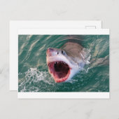 Haie, die aus dem Ozean kommen Postkarte (Vorne/Hinten)