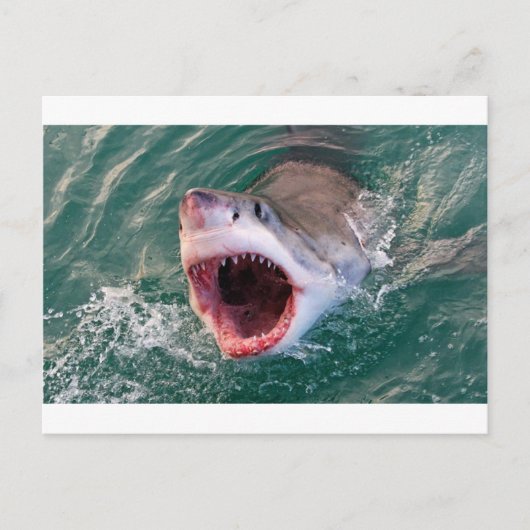 Haie, die aus dem Ozean kommen Postkarte (Vorderseite)