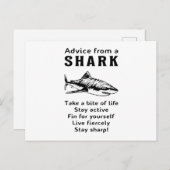 Haie Fisch Seehai Fin Cool Ocean Funny Gift Postkarte (Vorne/Hinten)
