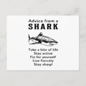 Haie Fisch Seehai Fin Cool Ocean Funny Gift Postkarte (Vorderseite)