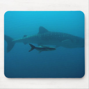 Haie Fische Ozean Wasser Tropisch Strand Frieden L Mousepad