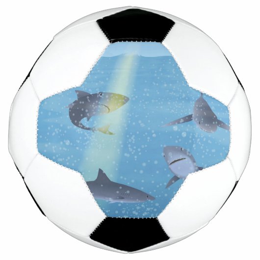 Haie Fußball (Vorderseite)