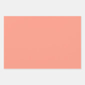 Haie Geschenkpapier Set (Vorderseite 2)