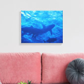 Haie im Blue Hole Leinwanddruck (Insitu (Wohnzimmer))