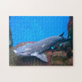 Haie im Meer. Puzzle (Horizontal)