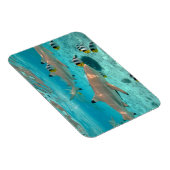 Haie im rechteckigen Magneten der Bora Bora Magnet (Rechte Seite)