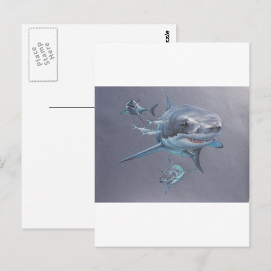 Haie in der Bucht Postkarte (Vorne/Hinten)