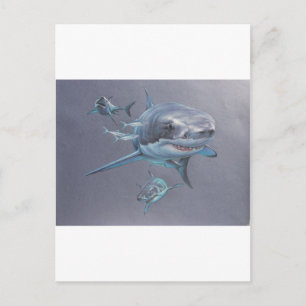 Haie in der Bucht Postkarte