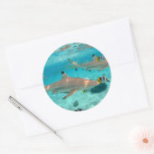 Haie in der Lagune Bora Runder Aufkleber (Umschlag)