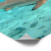Haie in der Lagune von Bora Bora Poster (Ecke)