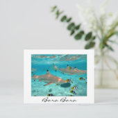 Haie in der Lagune von Bora Bora, weißer Text, Pos Postkarte (Stehend Vorderseite)