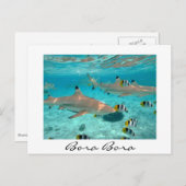Haie in der Lagune von Bora Bora, weißer Text, Pos Postkarte (Vorne/Hinten)