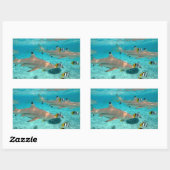 Haie in der rechteckigen Bora-Lagune Rechteckiger Aufkleber (Blatt)