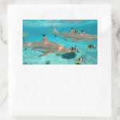 Haie in der rechteckigen Bora-Lagune Rechteckiger Aufkleber (Tasche)