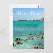 Haie jagen Fische in Bora Bora Text Postkarte (Vorne/Hinten)