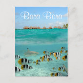 Haie jagen Fische in Bora Bora Text Postkarte (Vorderseite)