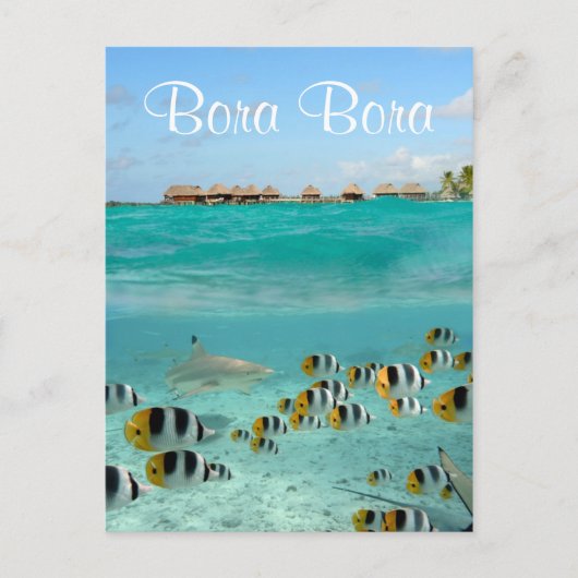 Haie jagen Fische in Bora Bora Text Postkarte (Vorderseite)