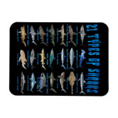 Haie liebt 21 Arten von Haien Magnet (Horizontal)