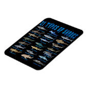 Haie liebt 21 Arten von Haien Magnet (Linke Seite)