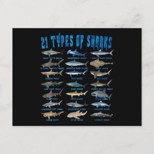 Haie liebt 21 Arten von Haien Postkarte