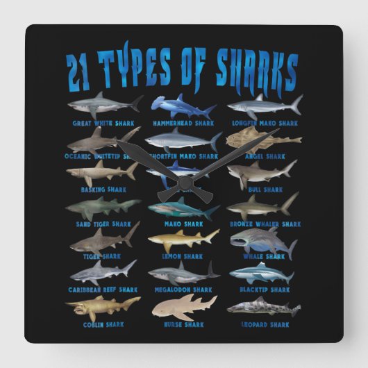 Haie liebt 21 Arten von Haien Quadratische Wanduhr (Vorderseite)