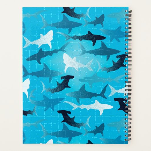 Haie! - planer (Rückseite)