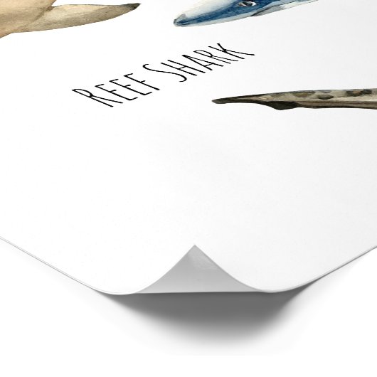 Haie Poster (Ecke)