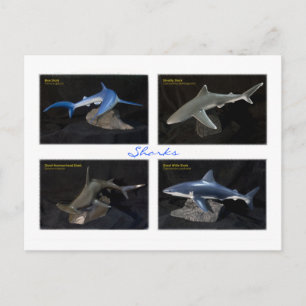 Haie Postkarte