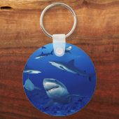 Haie-Schlüsselanhänger Schlüsselanhänger (Vorderseite)