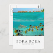 Haie und Fische in Bora Bora, Französisch-Polynesi Postkarte (Vorne/Hinten)